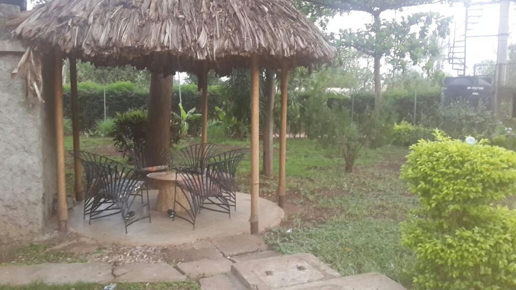 Mama Simba Bed And Breakfast Moshi Zewnętrze zdjęcie